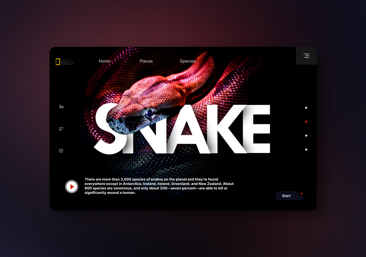 Snak User Interface Design